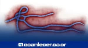 Director OMS: “Profundamente preocupado” por brote de ébola en Congo y Uganda