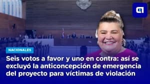 Seis votos a favor y uno en contra: así se excluyó la anticoncepción de emergencia del proyecto para víctimas de violación