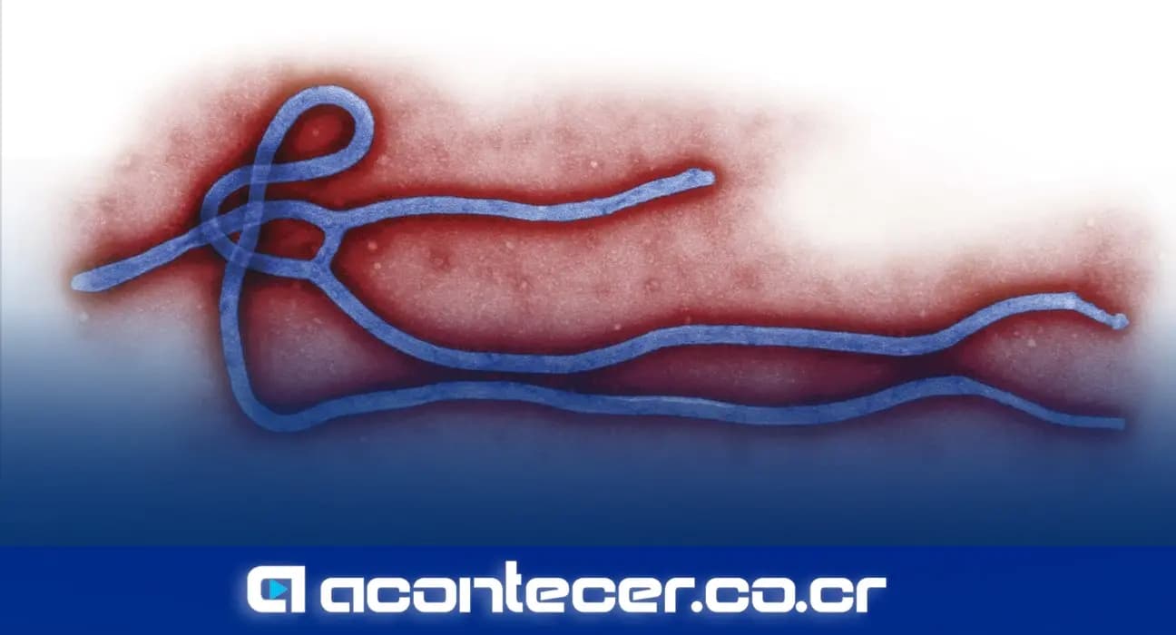 Imagen de la nota: Director OMS: “Profundamente preocupado” por brote de ébola en Congo y Uganda