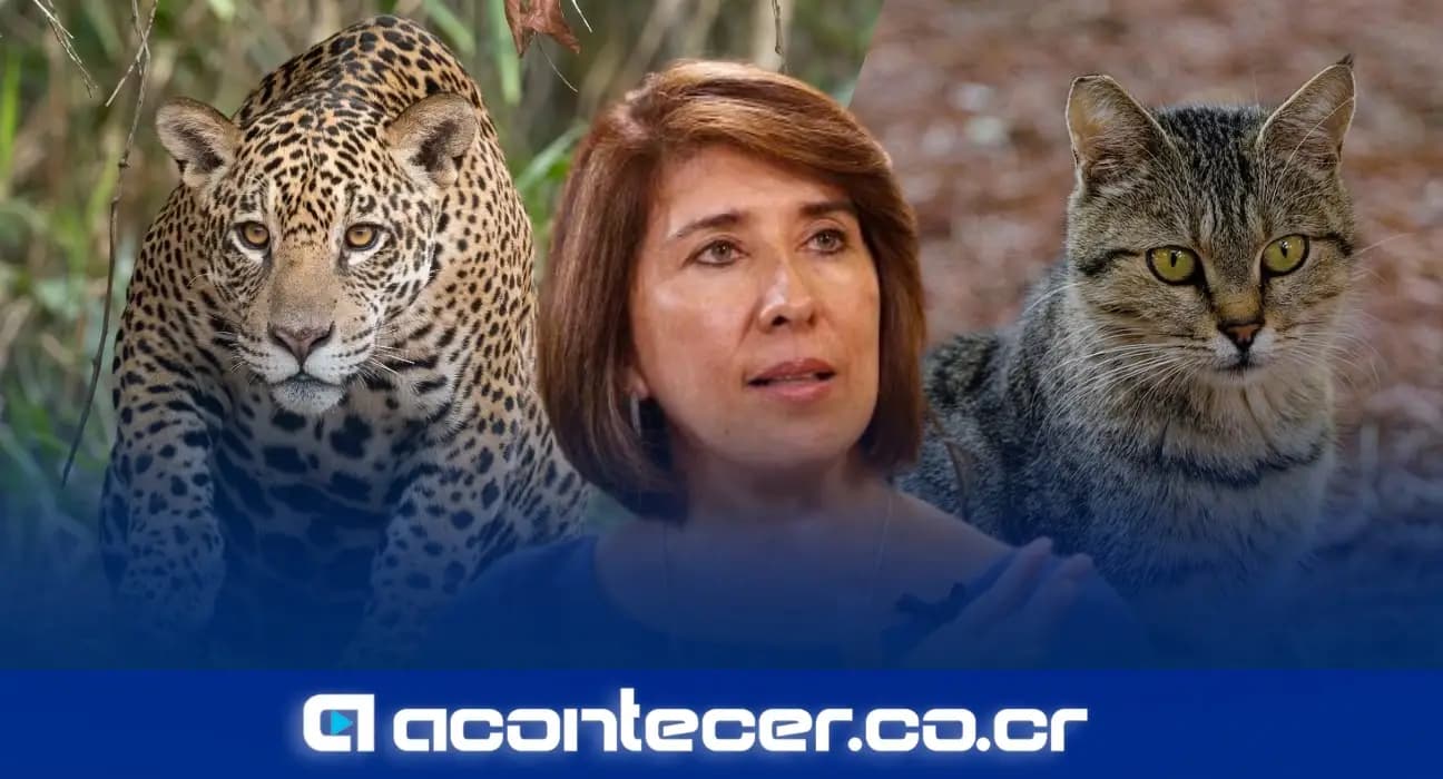 Imagen de la nota: Edna Camacho sobre la economía “jaguar” vs “gatito”: “No todo es negro ni blanco”
