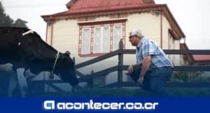 Dos Pinos reporta USD $1.324 millones en valor económico directo durante 2025