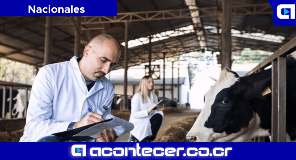 SENASA Colegio de veterinarios Costa Rica