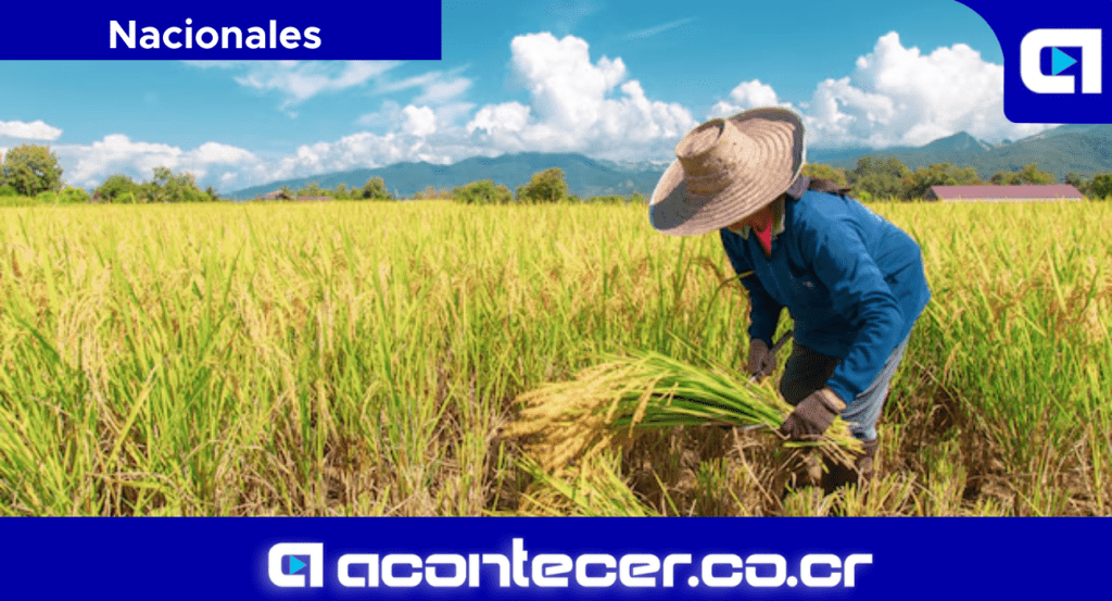 Cámara Nacional de Agricultura pide modificar ley de protector solar 6 CNAA Ley de Proteccón Solar