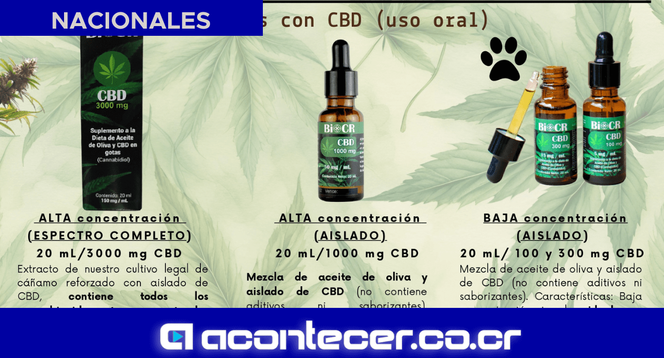 BIOCR Aceite de cbd costa rica aceite cannabis costa rica