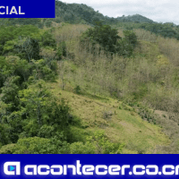 Venta de finca en Nandayure Guanacaste con teca, 79 héctareas. Finca Costa Rica