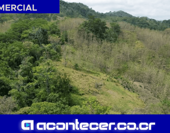 Venta de finca en Nandayure Guanacaste con teca, 79 héctareas. Finca Costa Rica