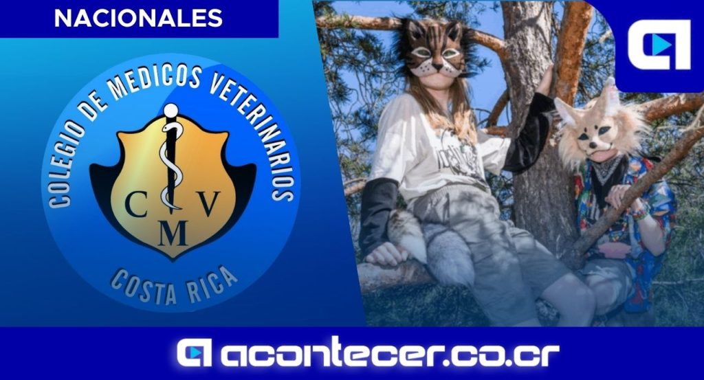 Colegio de Veterinarios define líƒÂ­mites ante solicitudes de atenciíƒón de personas que se identifican como í¢â‚¬Å“Therianí¢â‚¬Â