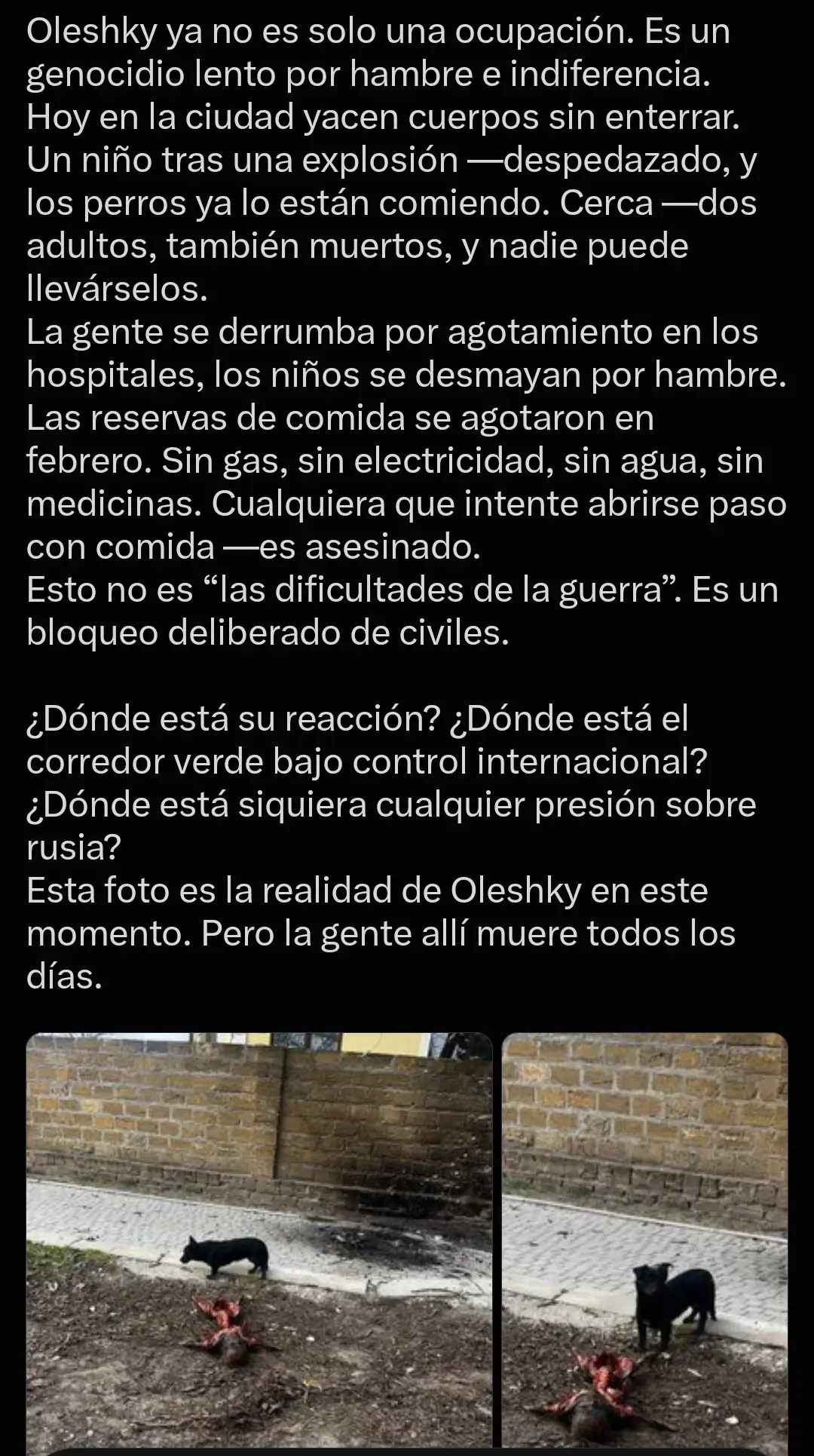 Activistas ucranianos denuncian genocidio en la ciudad